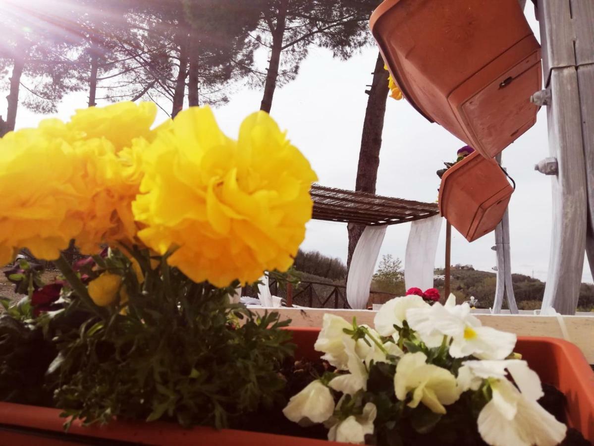 Degli Olivi Spa&nature