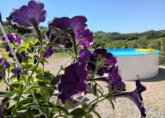 Villa Degli Olivi Nature