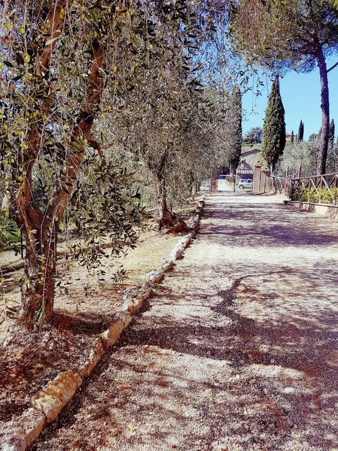 Degli Olivi Nature * Siena